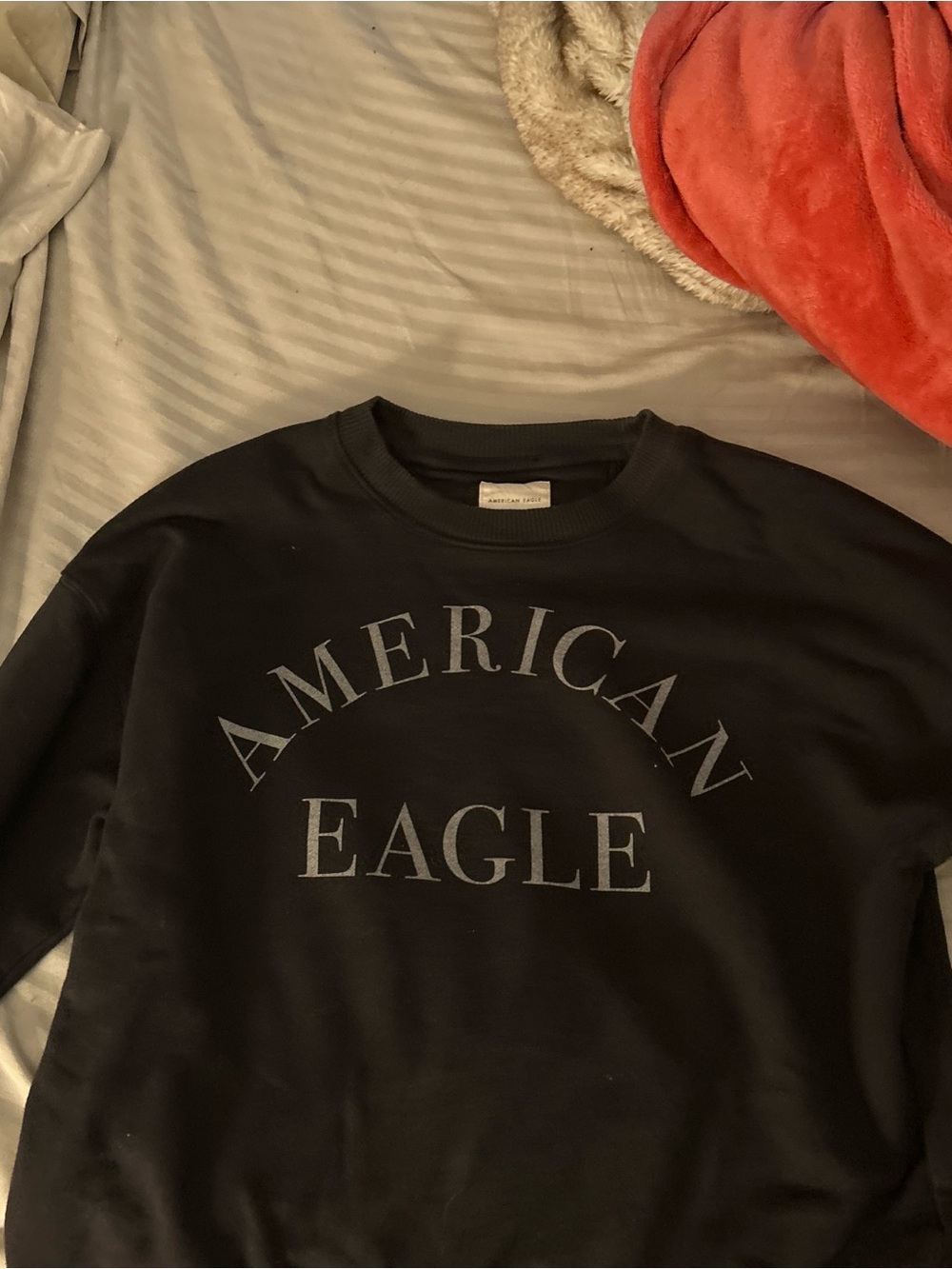 American Eagle Outfitters Black Crewneck and Blonde Frank Ocean